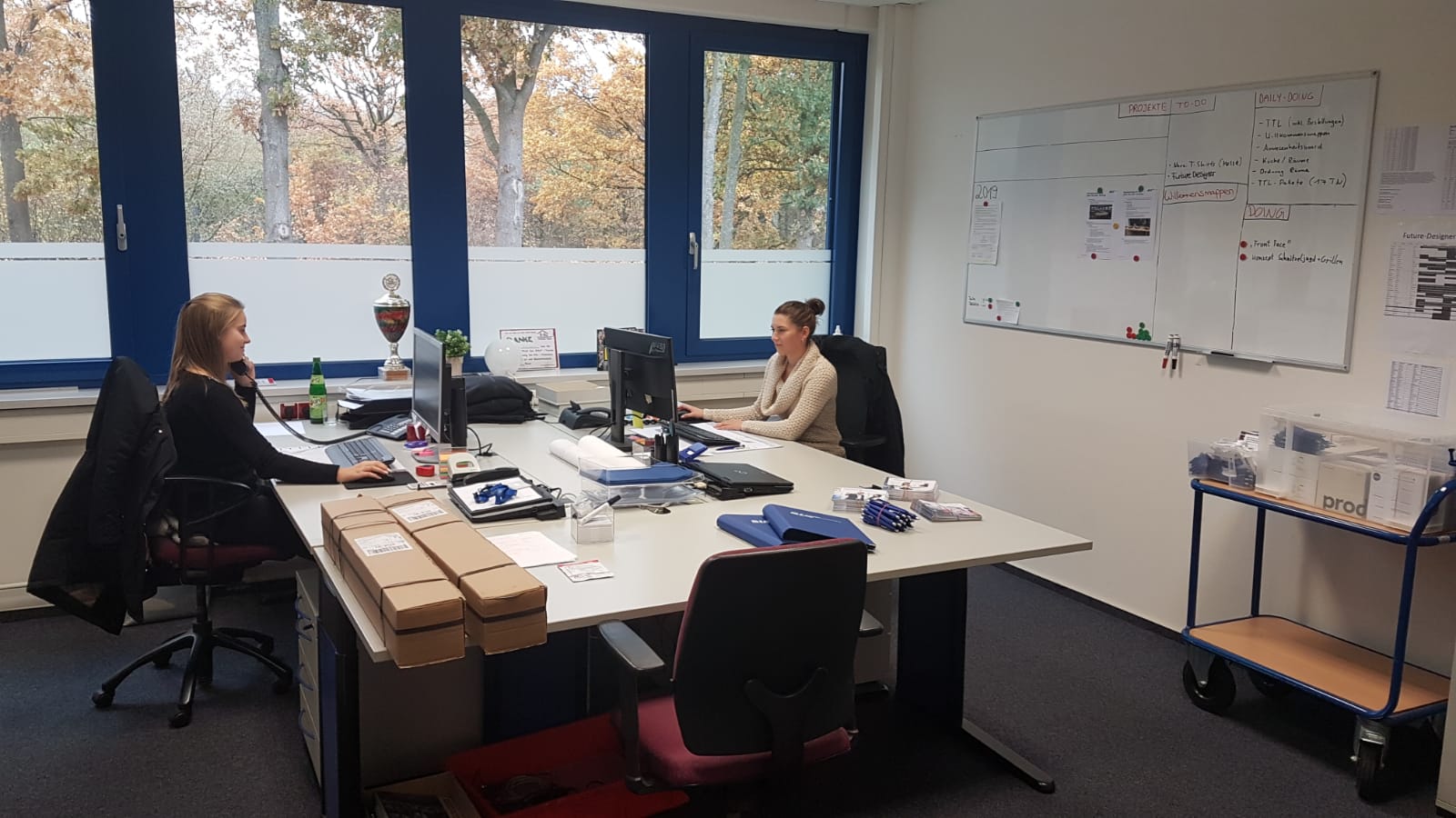 Zwei Angestellte sitzen sich in einem Büro an Schreibtischen gegenüber, eine telefoniert